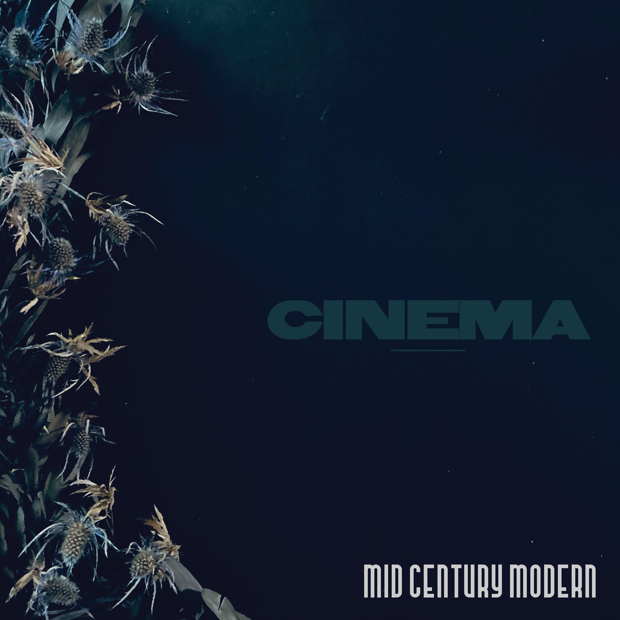 MCM “Cinema” 12″